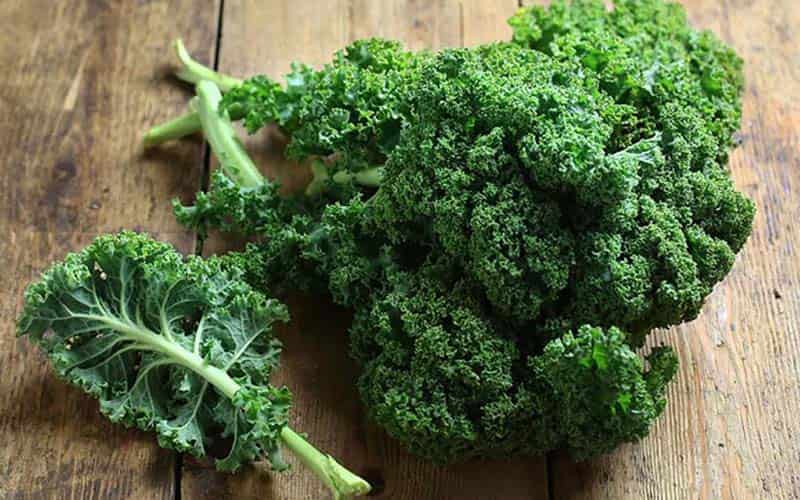 خرید و قیمت کلم کالی + فروش عمده